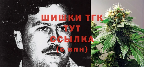 первитин Заводоуковск