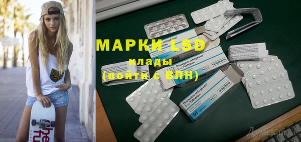 гидра Няндома